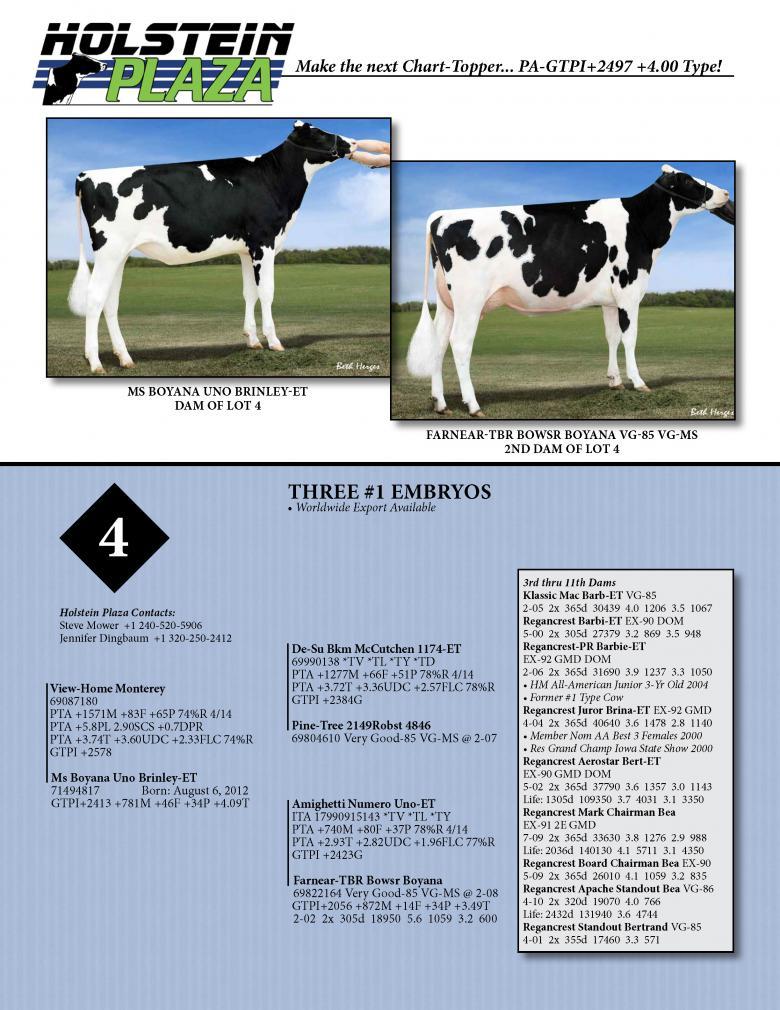 Datasheet for MONTEREY x Ms Boyana Uno Brinley