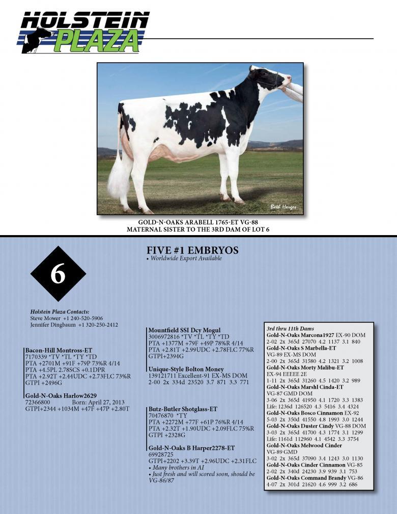 Datasheet for MONTROSS x Gold-N-Oaks Harlow2629