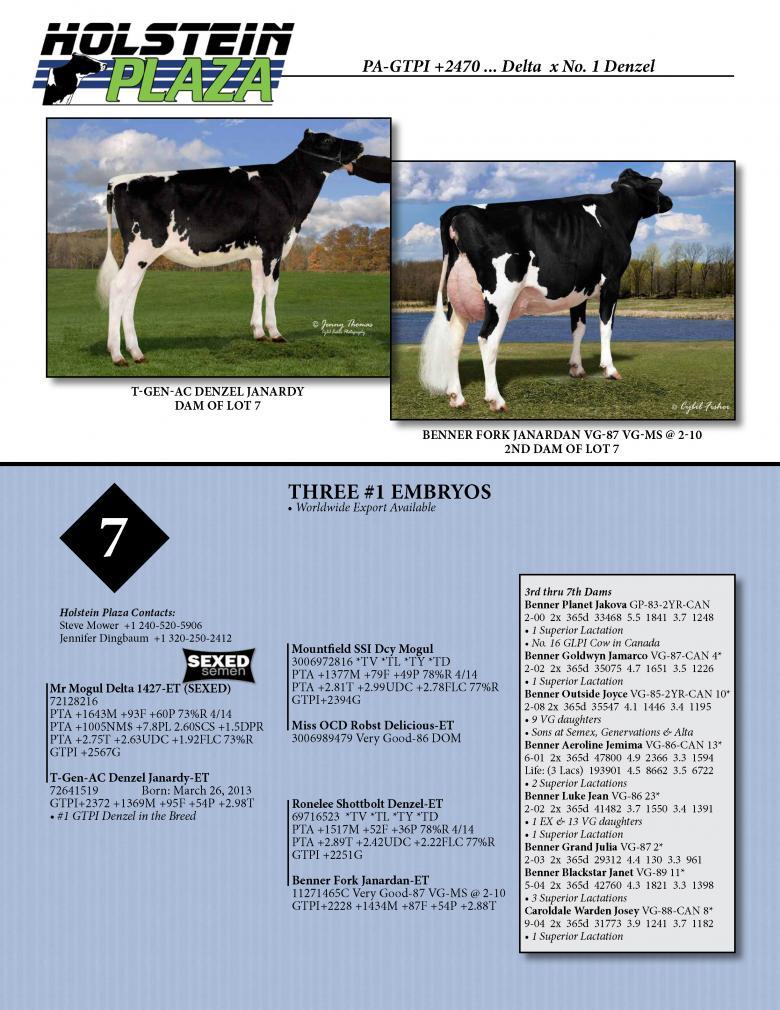 Datasheet for SEXED DELTA x T-Gen-AC Denzel Janardy