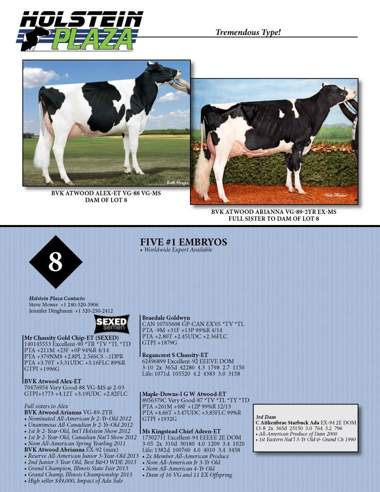 Datasheet for SEXED GOLD CHIP x BVK Atwood Alex