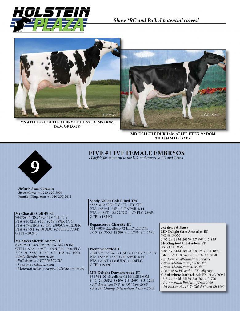 Datasheet for IVF FEMALE COLT 45 *RC *PO x Ms Atlees Shottle Aubrey