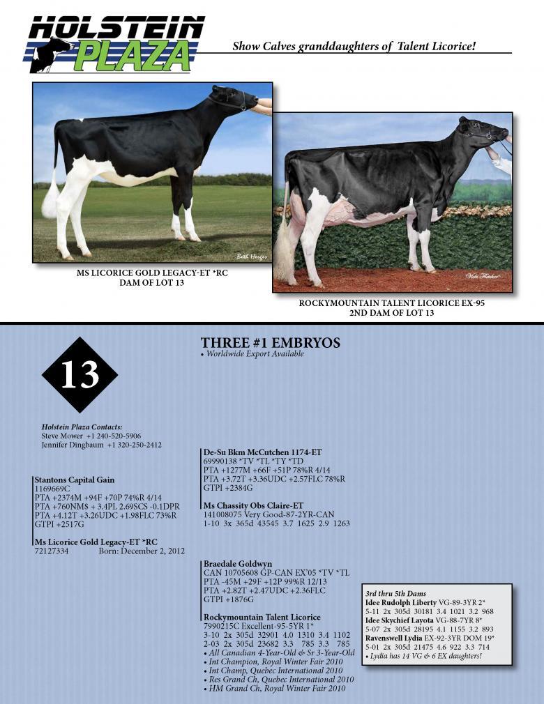 Datasheet for CAPITAL GAIN x Ms Licorice Gold Legacy