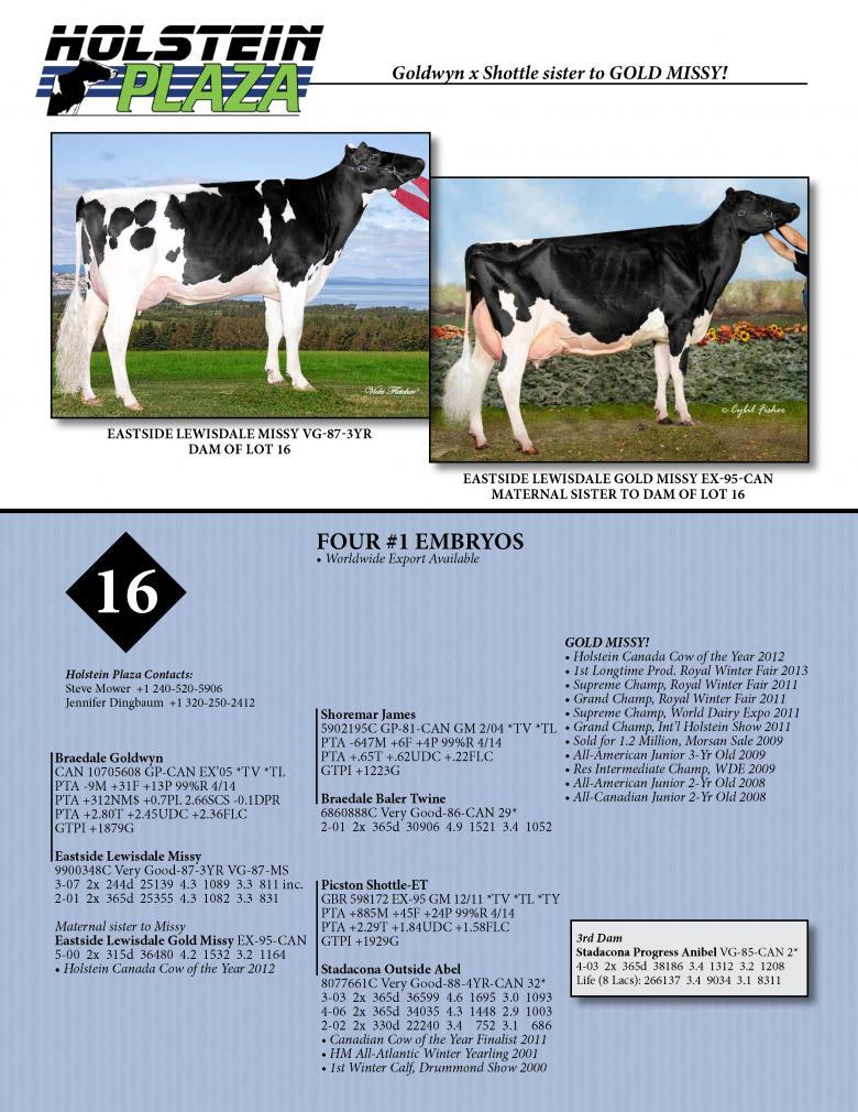 Datasheet for GOLDWYN x Eastside Lewisdale Missy