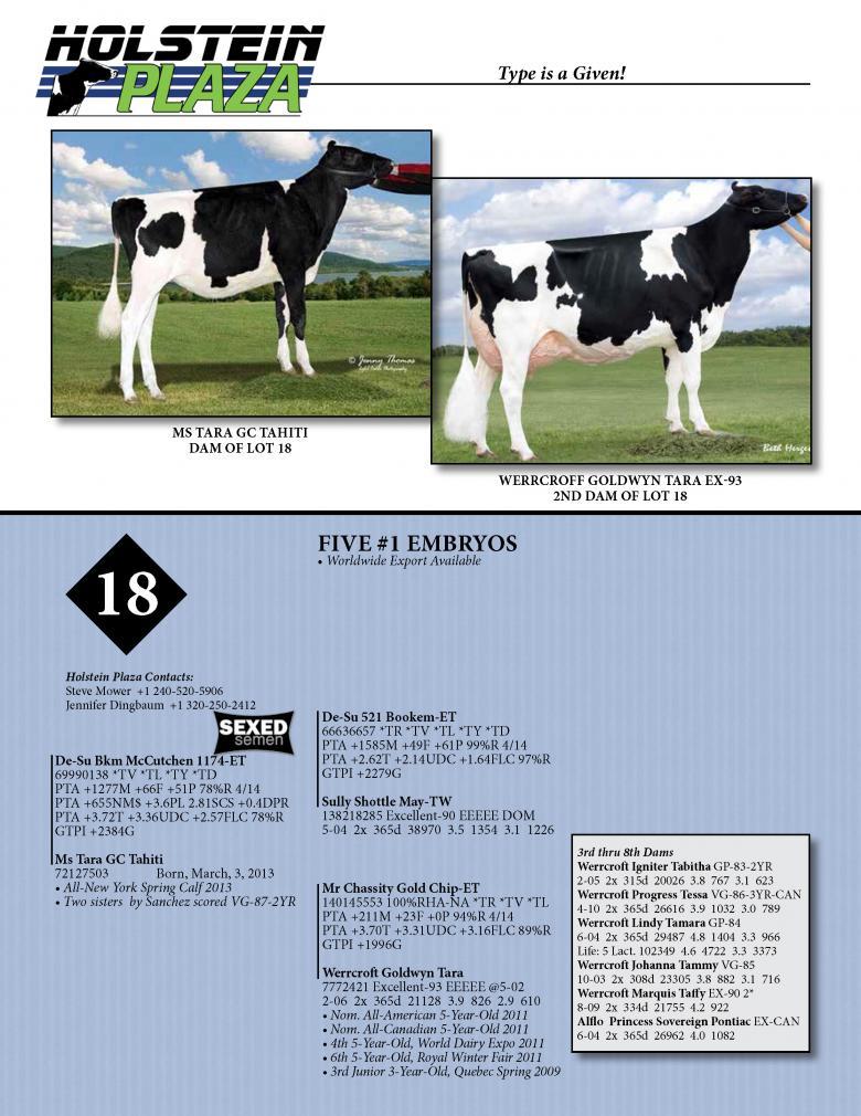 Datasheet for SEXED MCCUTCHEN x Ms Tara GC Tahiti