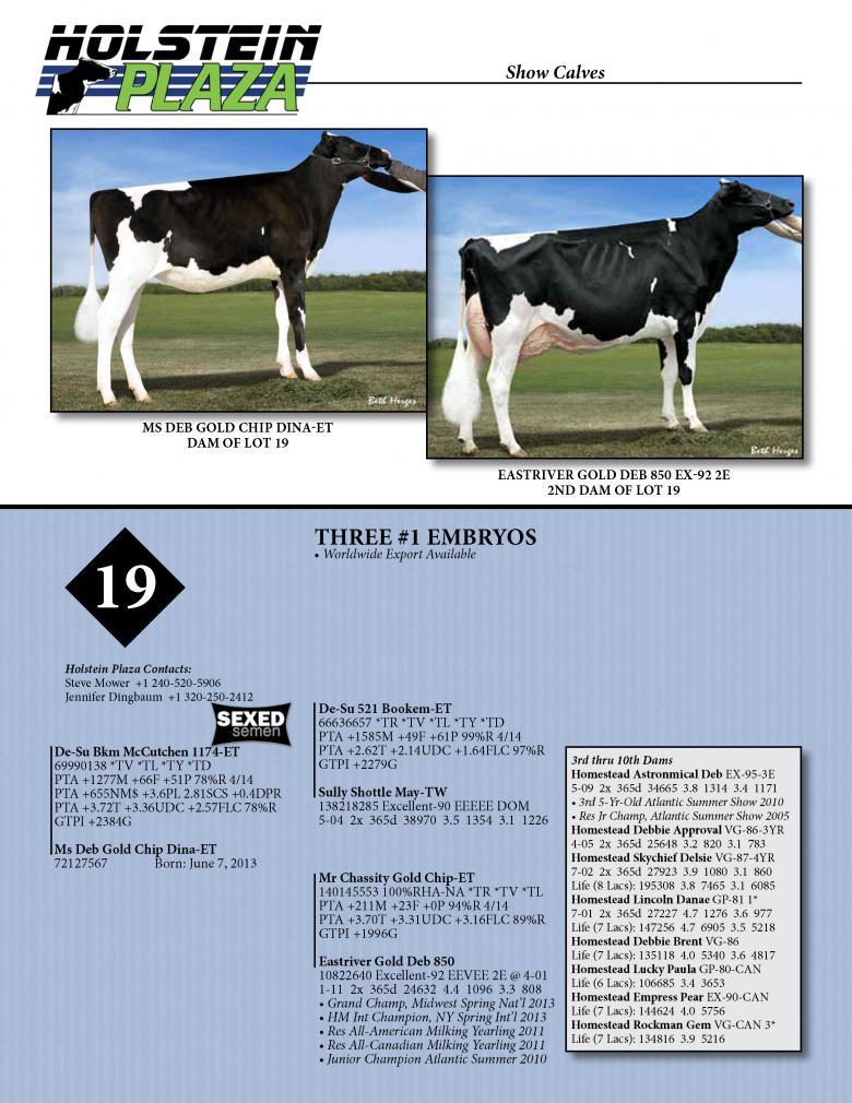 Datasheet for SEXED MCCUTCHEN x Ms Deb Gold Chip Dina