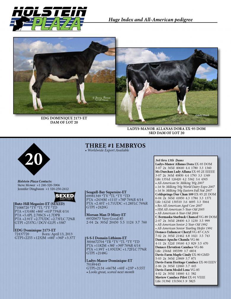 Datasheet for SEXED MEGASIRE x EDG Dominique 2173