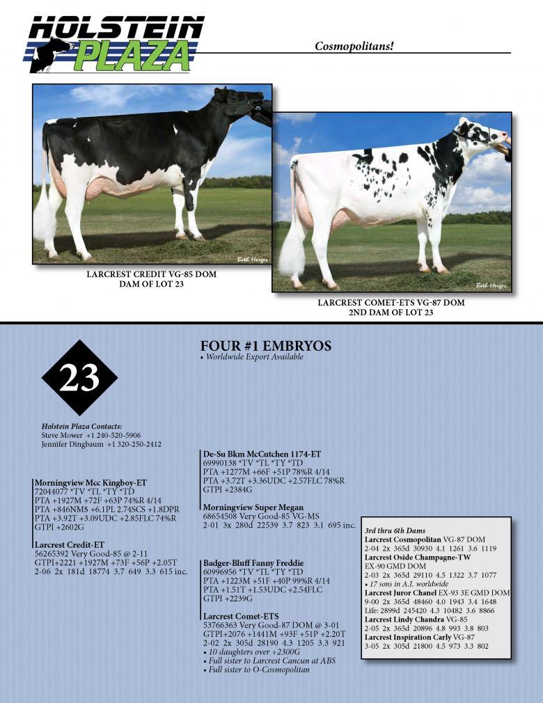 Datasheet for KINGBOY x Larcrest Credit