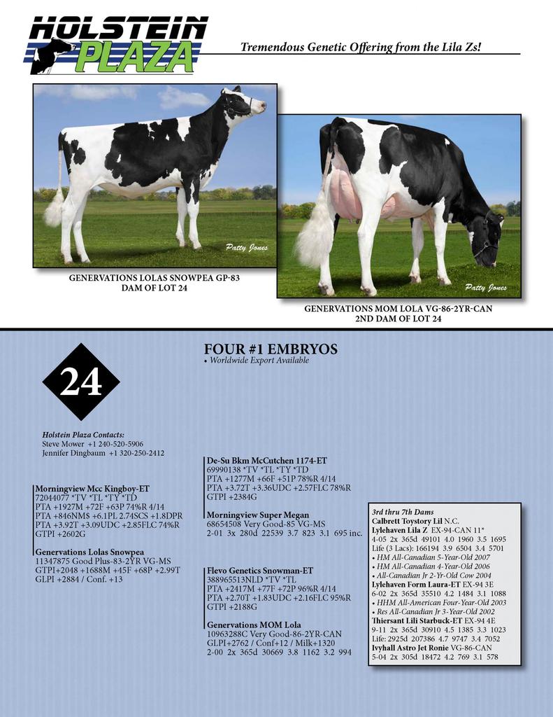 Datasheet for KINGBOY x Genervations Lolas Snowpea