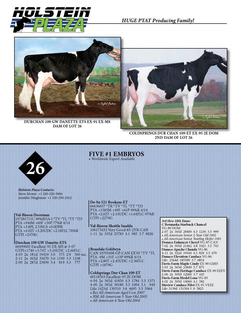 Datasheet for DOORMAN x Durchan 109 GW Danette