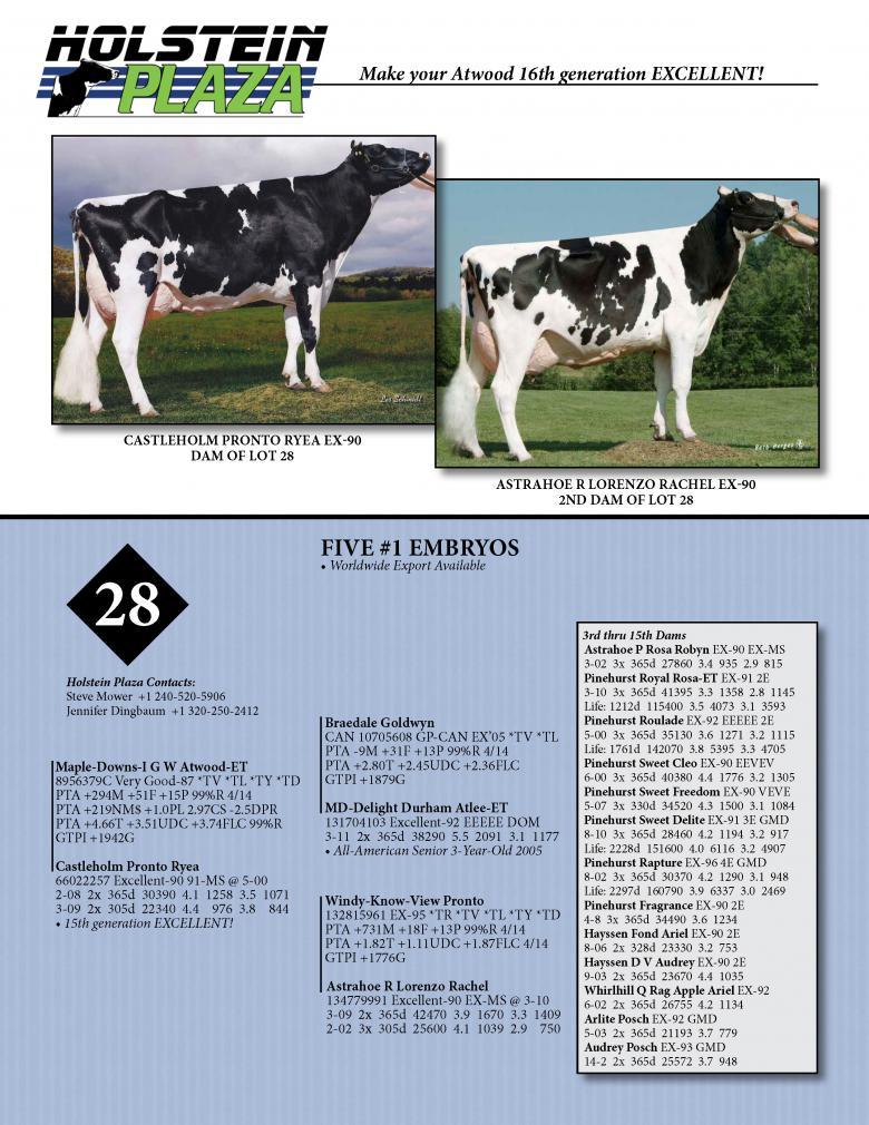 Datasheet for ATWOOD x Castleholm Pronto Ryea