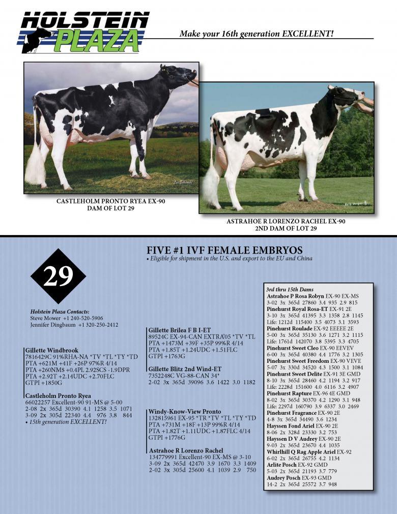 Datasheet for IVF FEMALE WINDBROOK x Castleholm Pronto Ryea