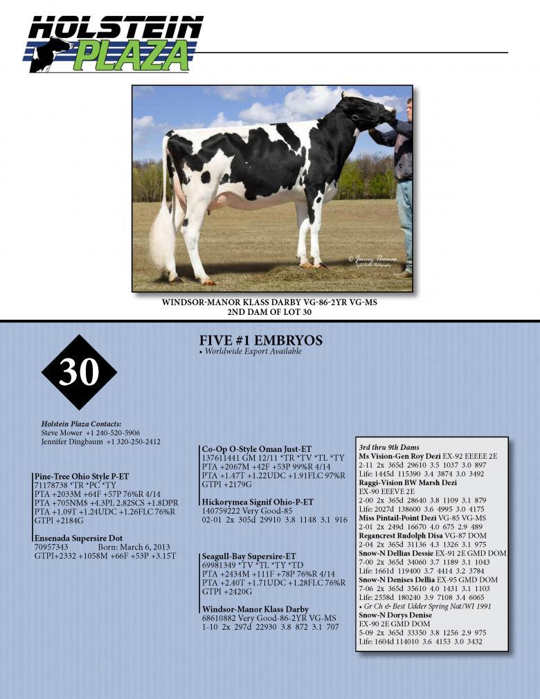 Datasheet for OHIO STYLE-P x Ensenada Supersire Dot