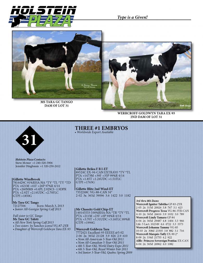 Datasheet for WINDBROOK x Ms Tara GC Tango