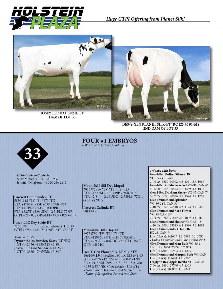 Datasheet for COMMANDER x Josey-LLC Day Suzie