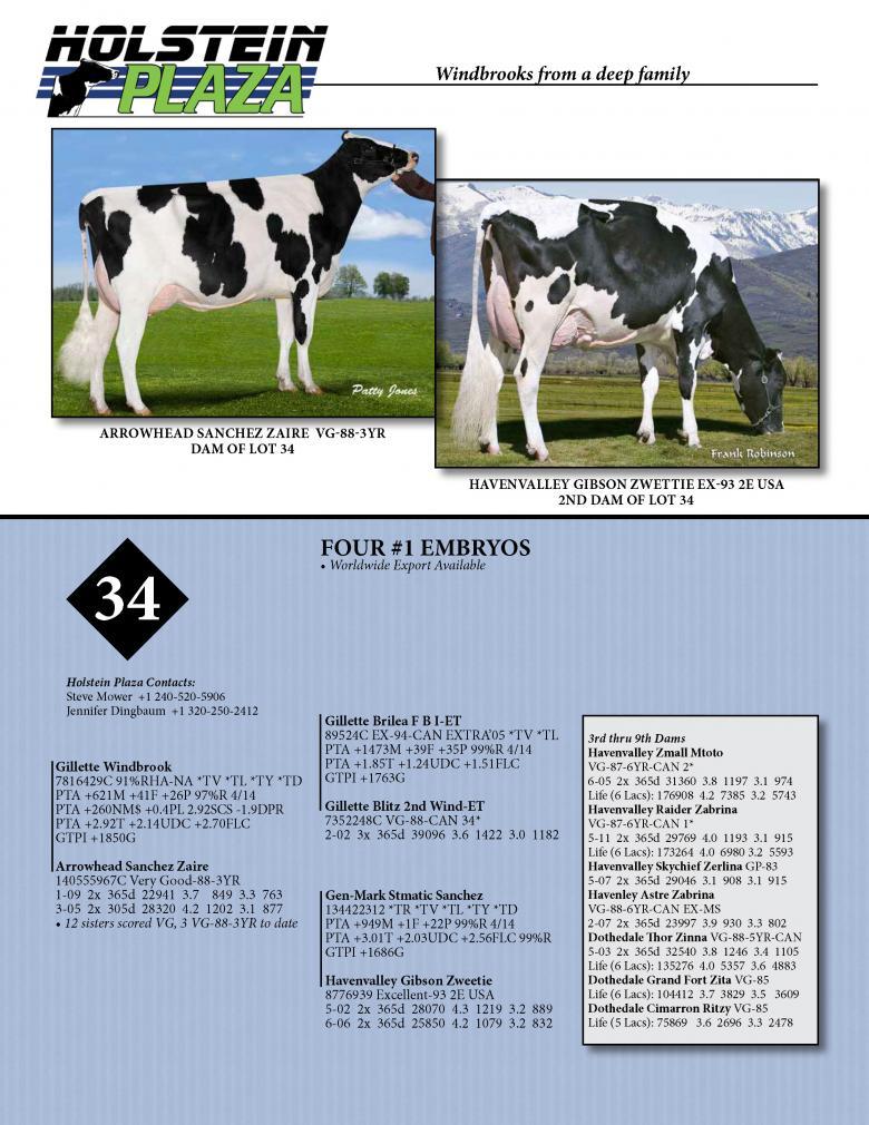 Datasheet for WINDBROOK x Arrowhead Sanchez Zaire