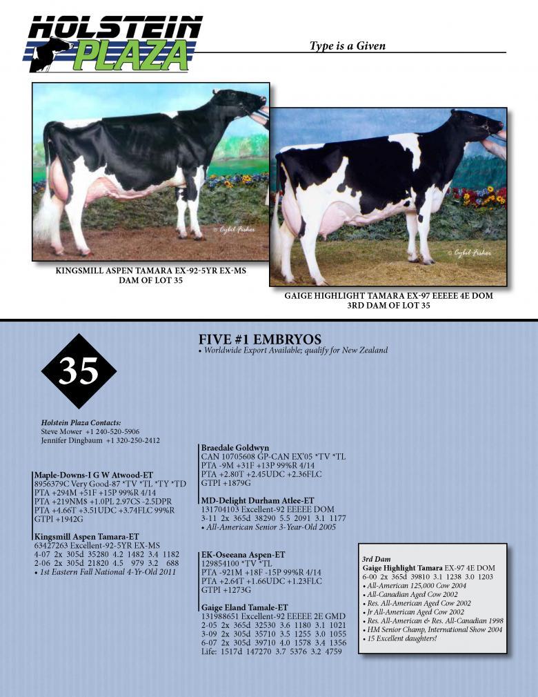 Datasheet for ATWOOD x Kingmill Aspen Tamara