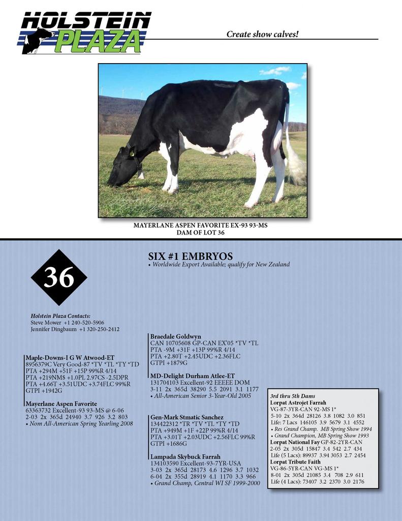 Datasheet for ATWOOD x Mayerlane Aspen Favorite