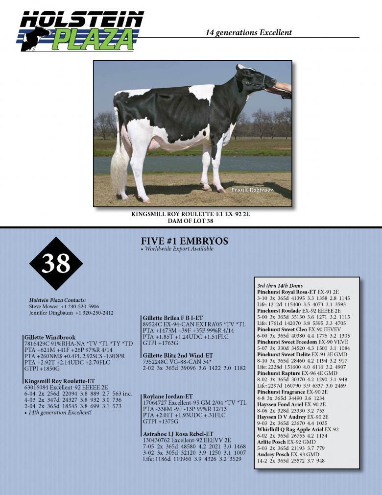 Datasheet for WINDBROOK x Kingsmill Roy Roulette