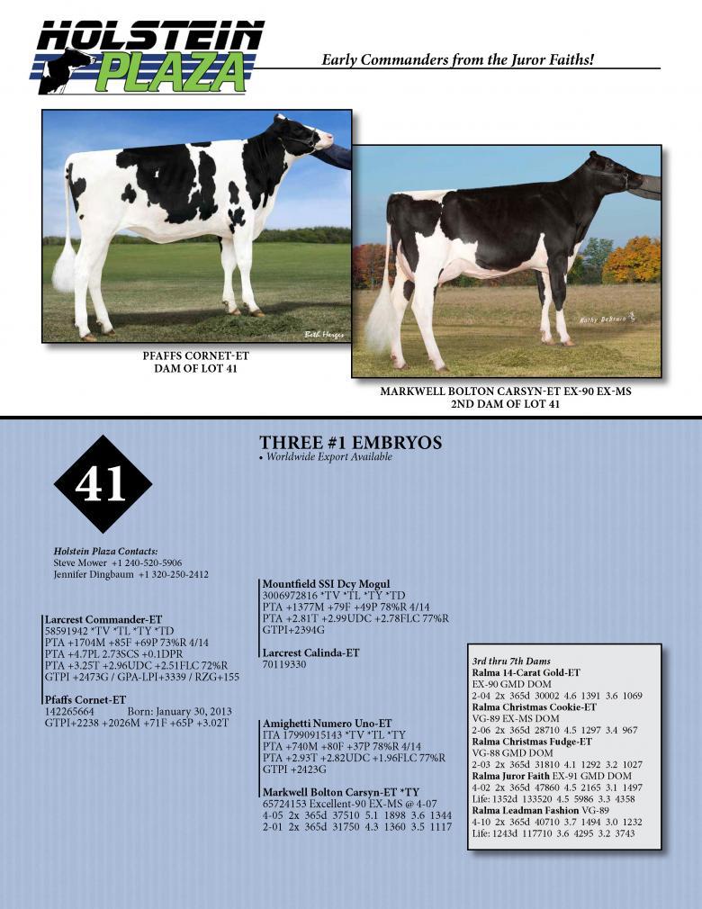 Datasheet for COMMANDER x Pfaffs Cornet