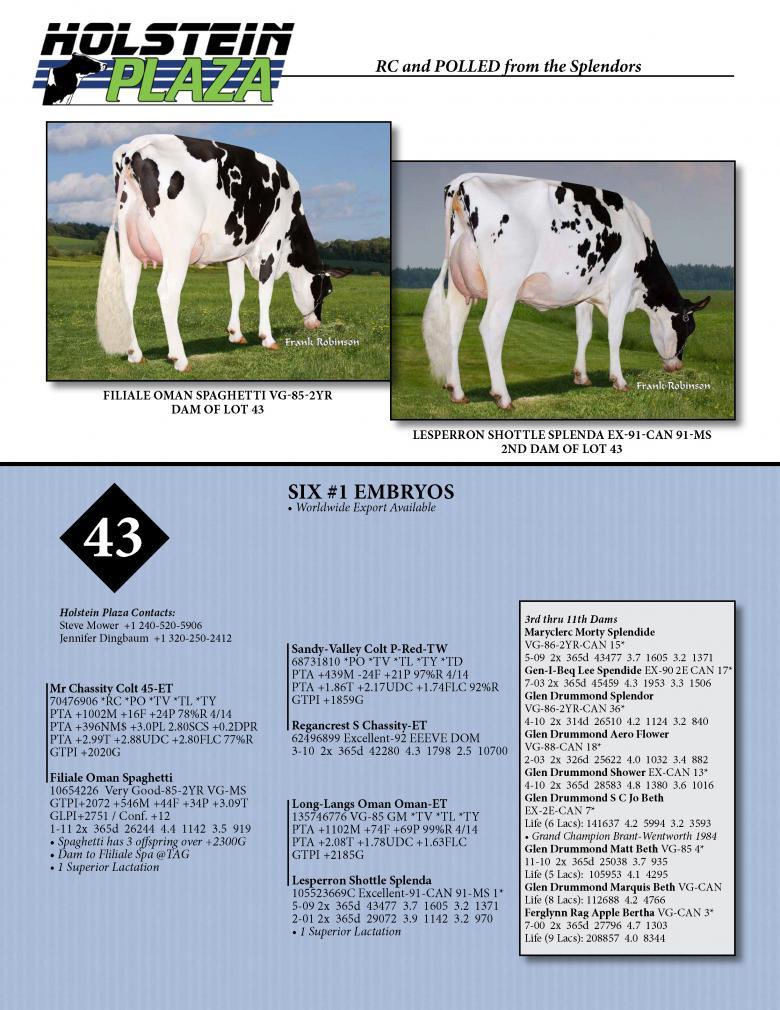 Datasheet for COLT 45 *RC *PO x Filiale Oman Spaghetti