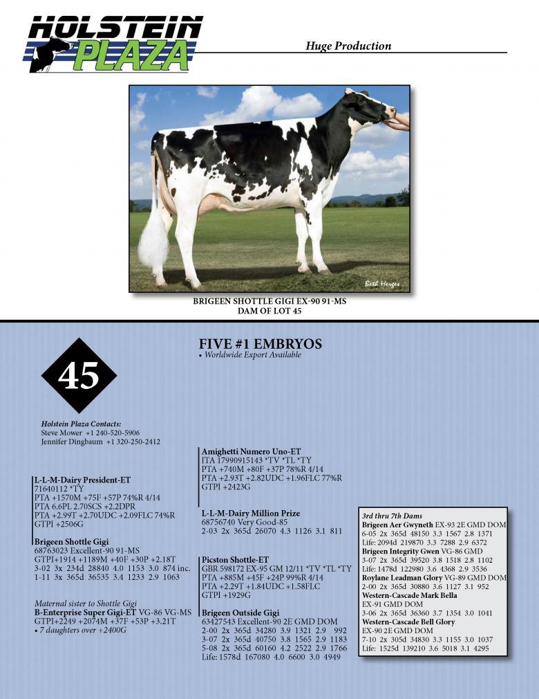 Datasheet for PRESIDENT x Brigeen Shottle Gigi