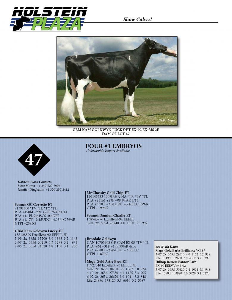 Datasheet for CORVETTE x GBM Kam Goldwyn Lucky