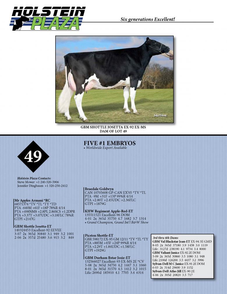 Datasheet for ARMANI *RC x GBM Shottle Josetta