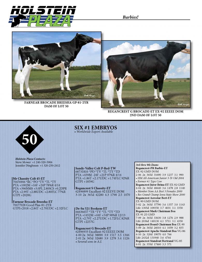 Datasheet for COLT 45 x Farnear Brocade Breesha