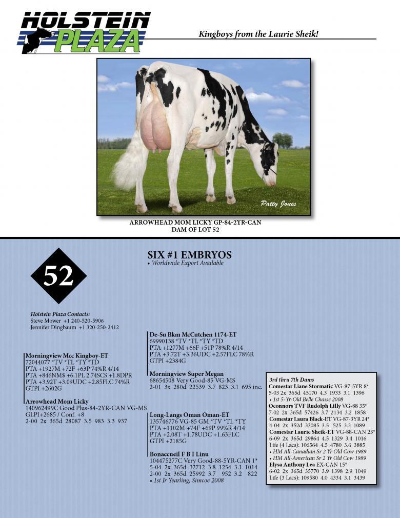 Datasheet for KINGBOY x Arrowhead MOM Licky