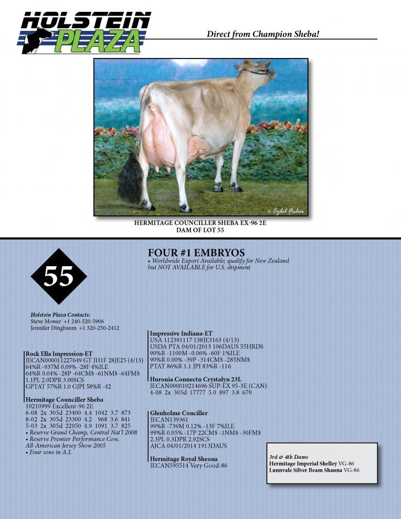 Datasheet for IMPRESSION x Hermitage Counciller Sheba