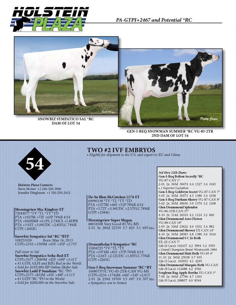 Datasheet for IVF KINGBOY x Snowbiz Sympatico Sal *RC