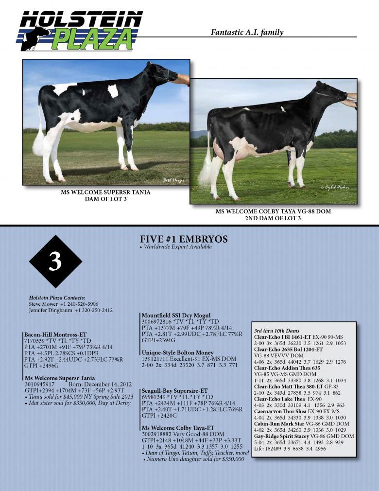 Datasheet for MONTROSS x Ms Welcome Supersr Tania