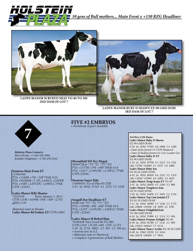 Datasheet for MAIN EVENT x Ladys-Manor Hdlr Shastee