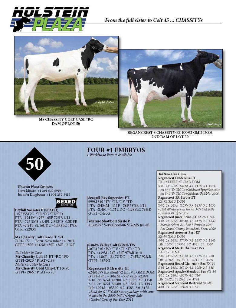 Datasheet for SEXED SOCRATES-P x Ms Chassity Colt Case